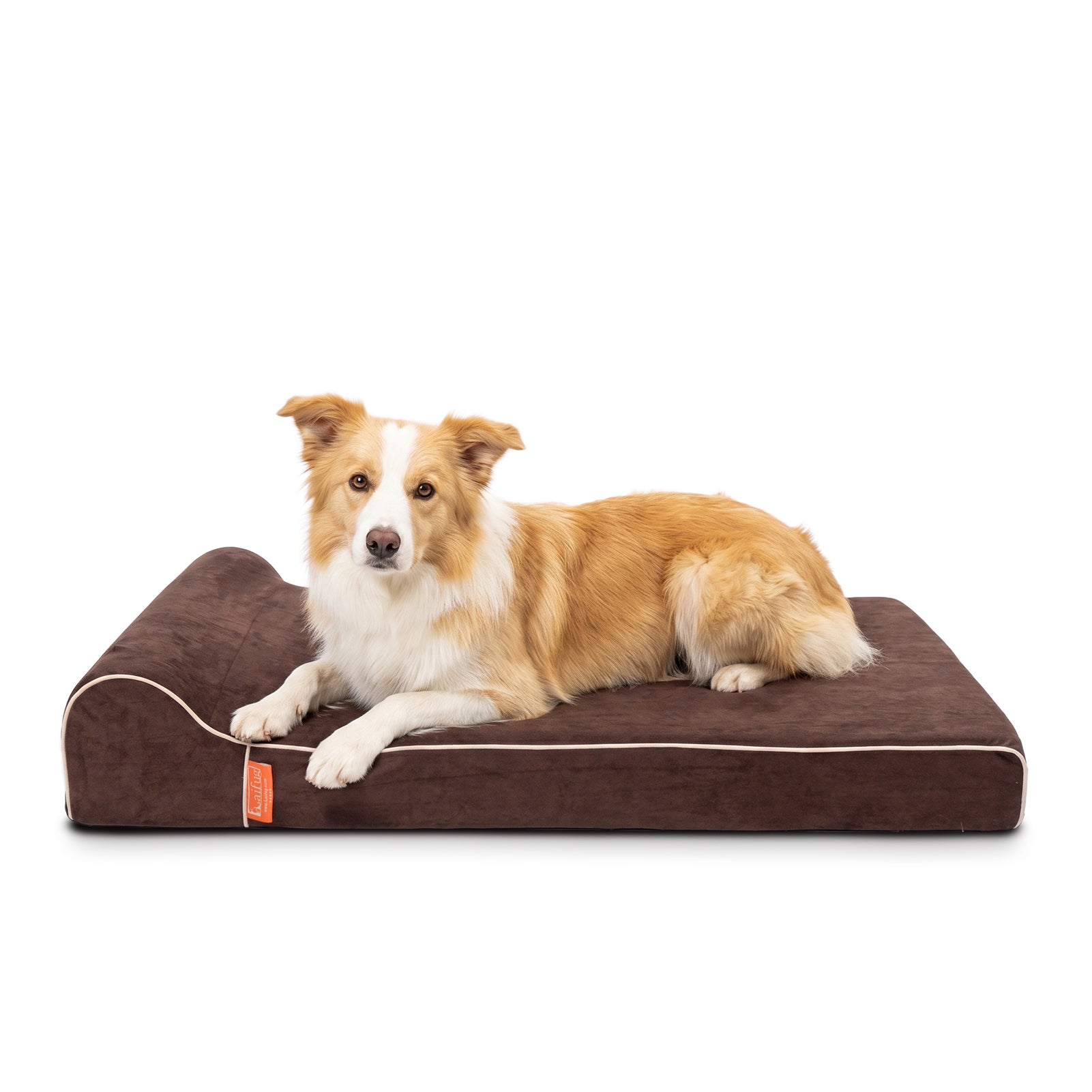 Laifug 422 Orthopedic Dog Bed with Bolster Support (Single & Double Pillow Options)