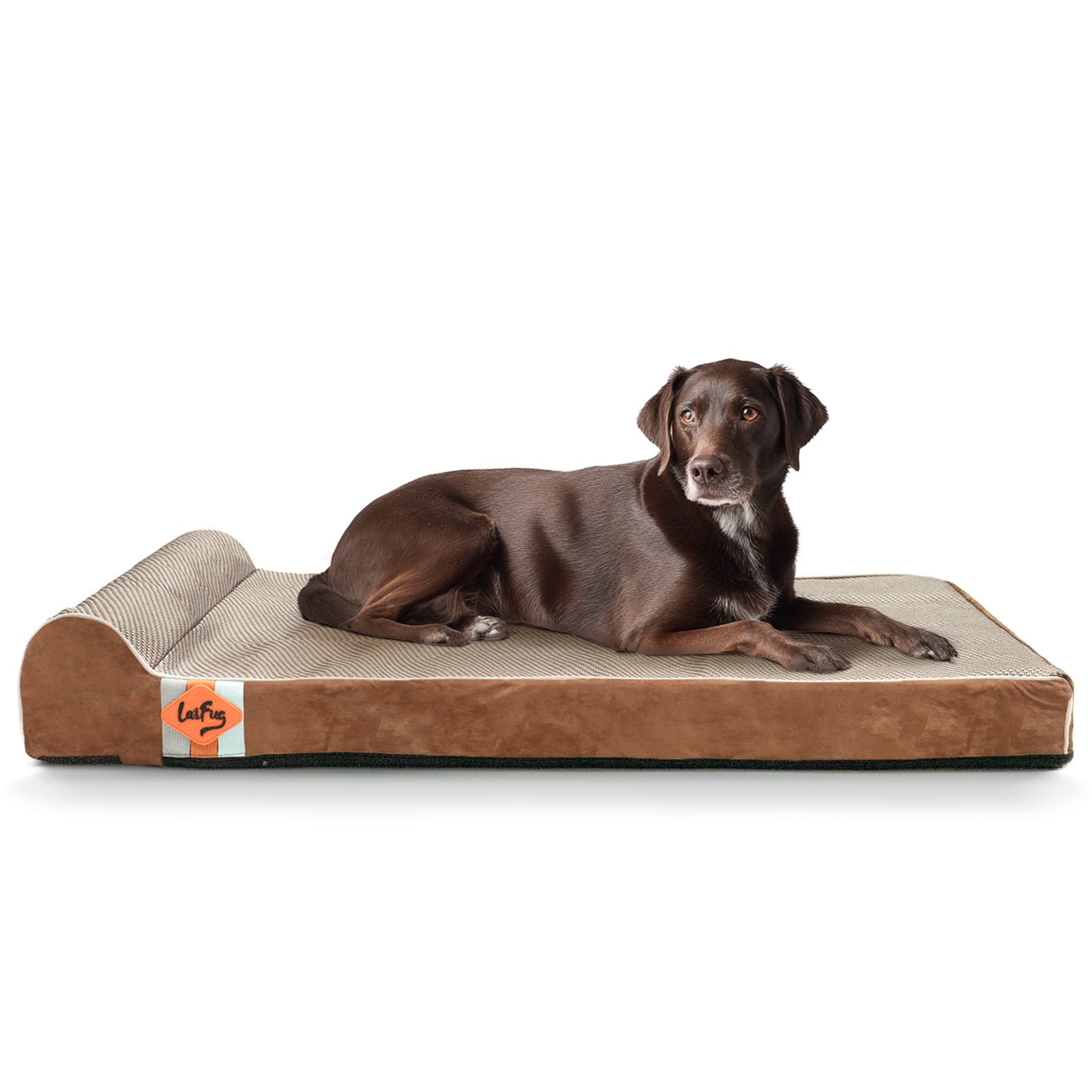 Laifug 422 Orthopedic Dog Bed with Bolster Support (Single & Double Pillow Options)