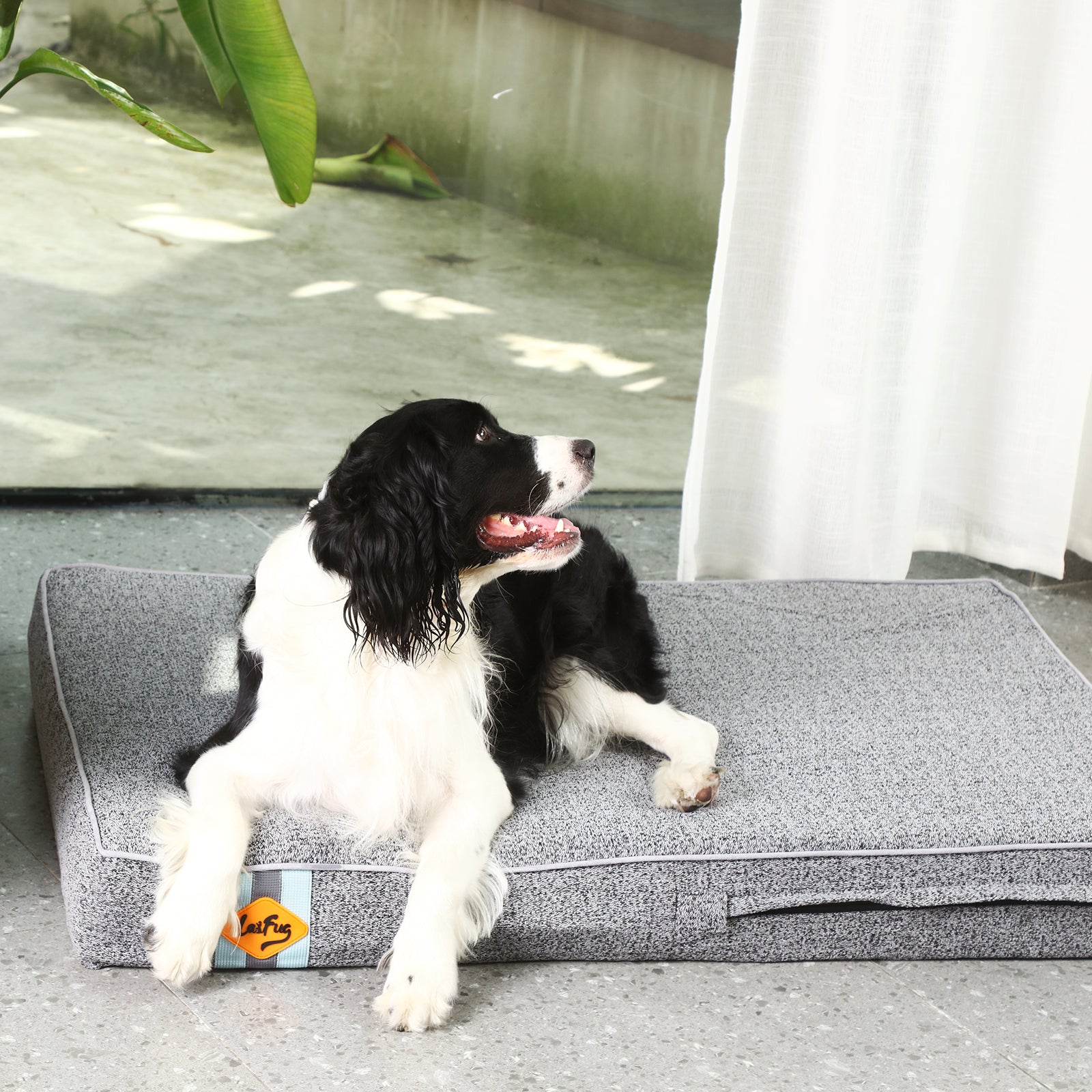 LaiFug 318 Flat Orthopedic Memory Foam Dog Bed – Minimalist Design