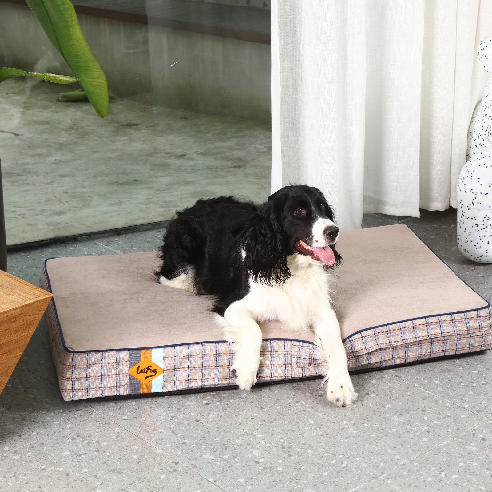 LaiFug 318 Flat Orthopedic Memory Foam Dog Bed – Minimalist Design
