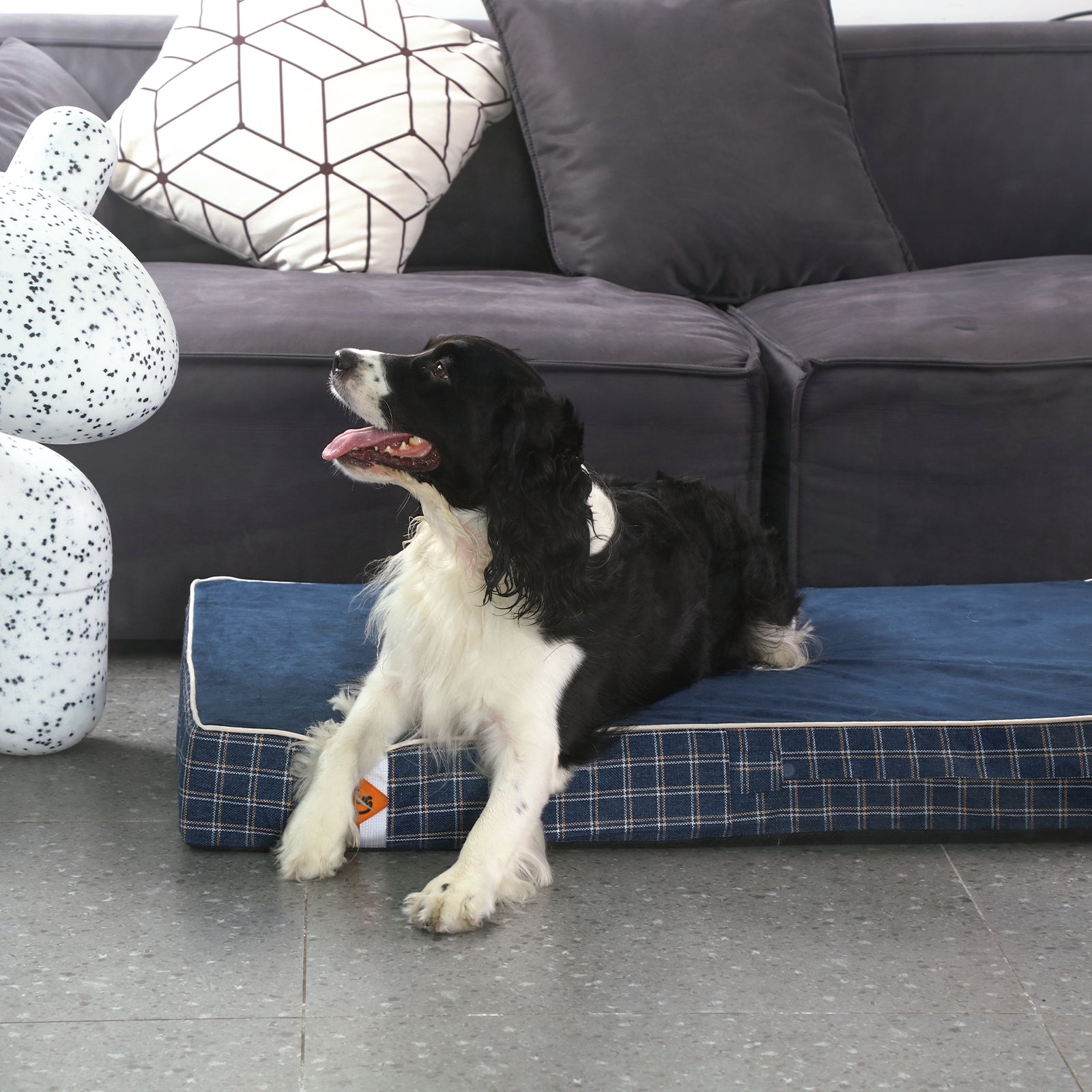 LaiFug 318 Flat Orthopedic Memory Foam Dog Bed – Minimalist Design