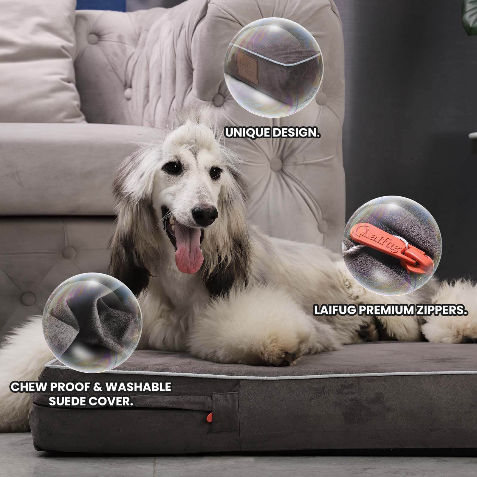 LaiFug 318 Flat Orthopedic Memory Foam Dog Bed – Minimalist Design