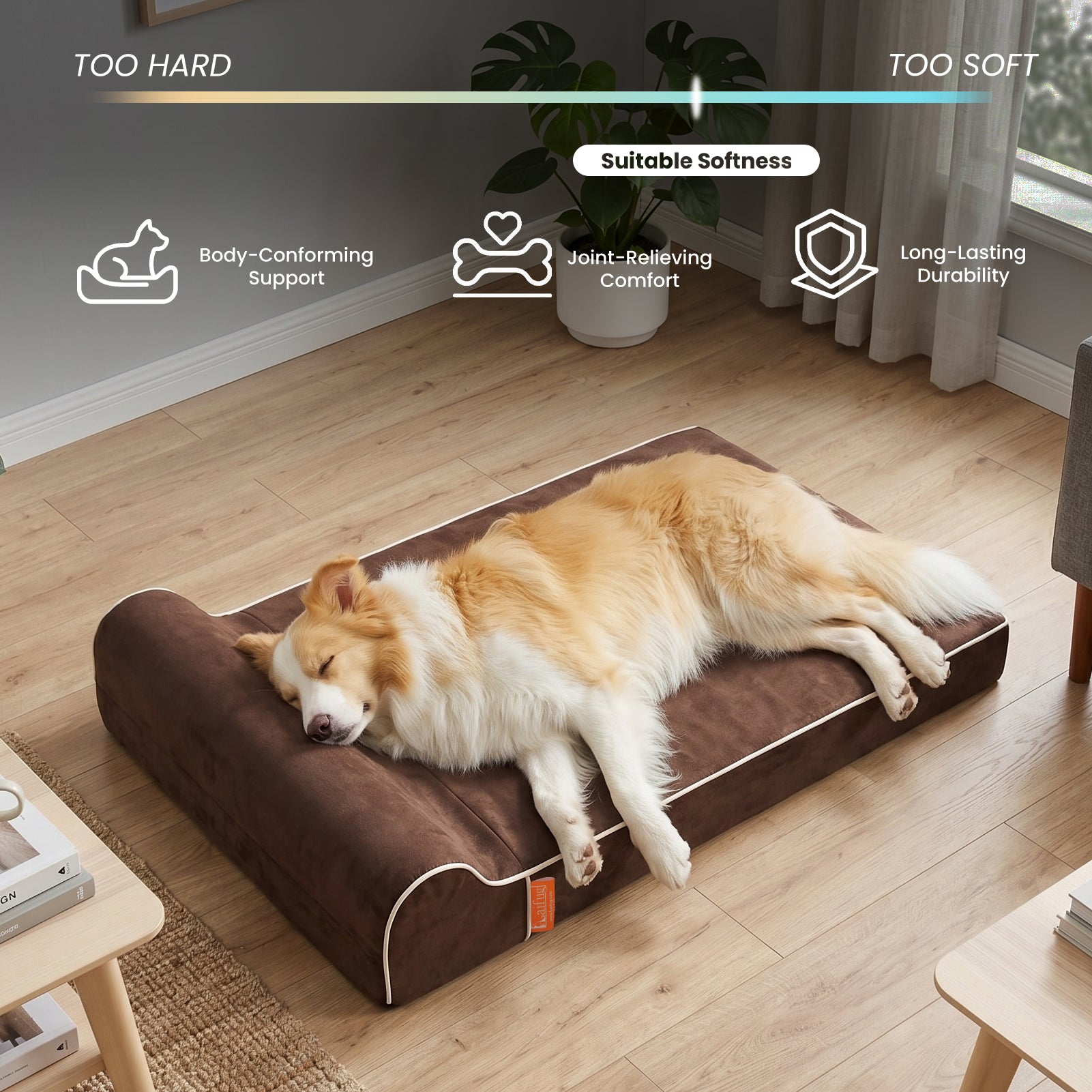 Laifug 422 Orthopedic Dog Bed with Bolster Support (Single & Double Pillow Options)