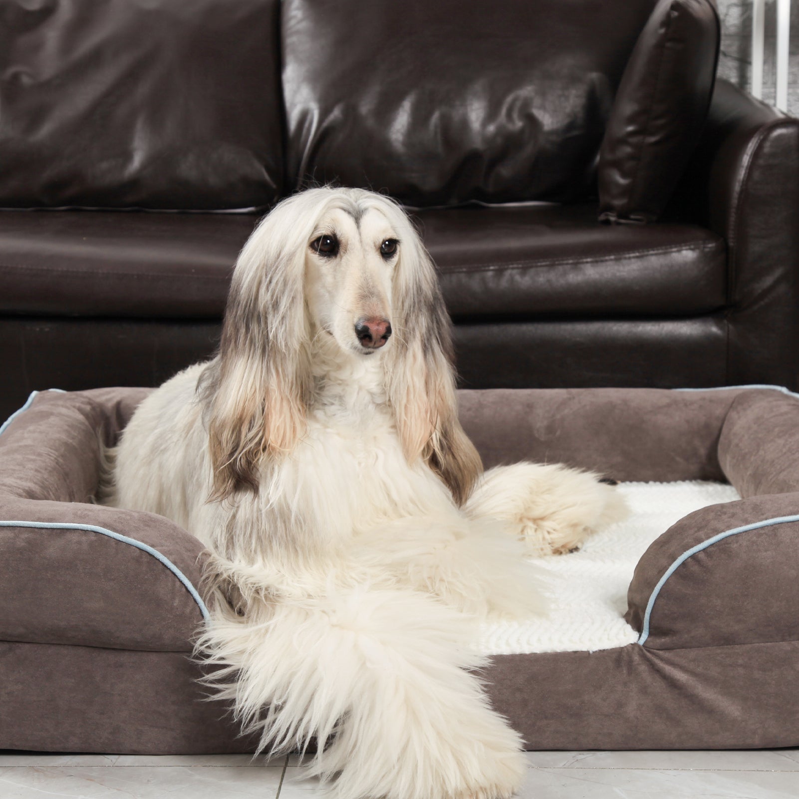 Canapé orthopédique pour chien en mousse à mémoire de forme de grande taille de Laifug
