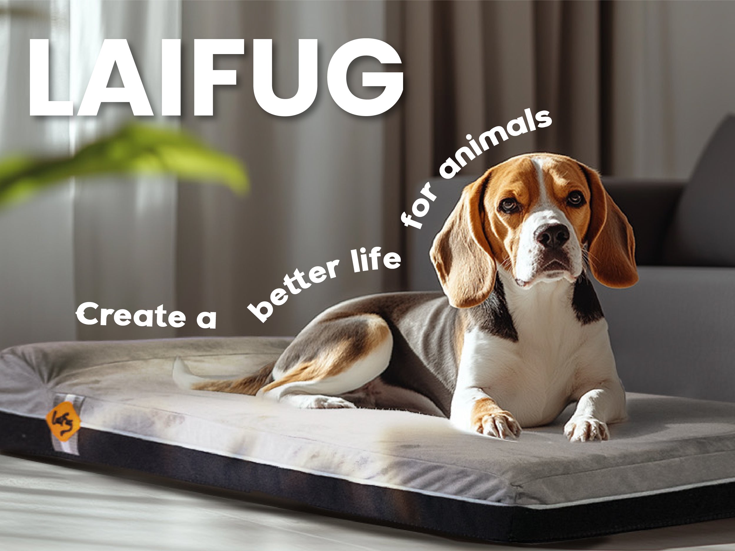 Laifug 422 Orthopedic Dog Bed with Bolster Support (Single & Double Pillow Options)