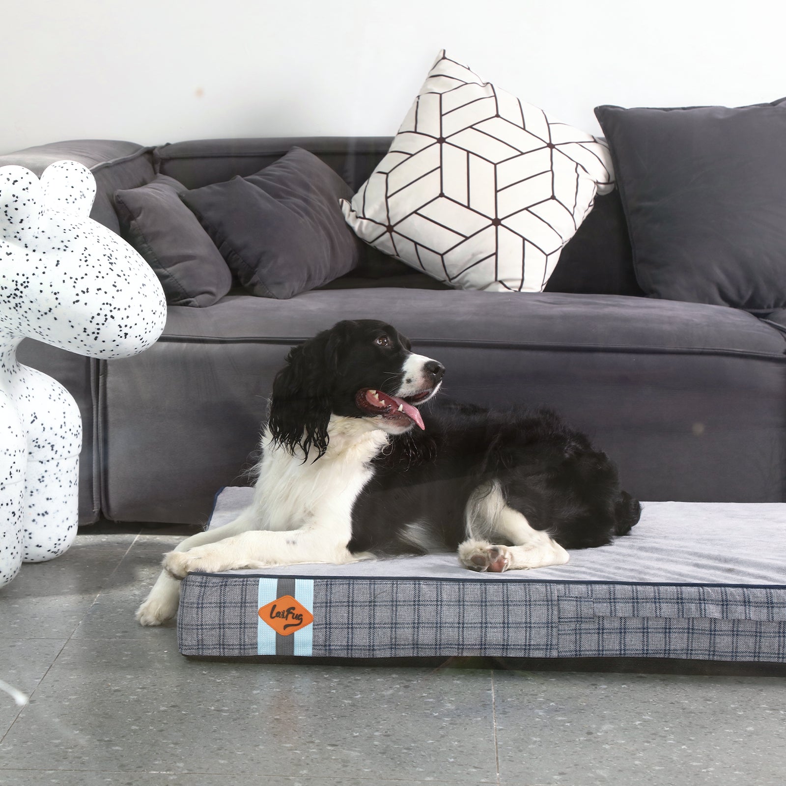 LaiFug 318 Flat Orthopedic Memory Foam Dog Bed – Minimalist Design