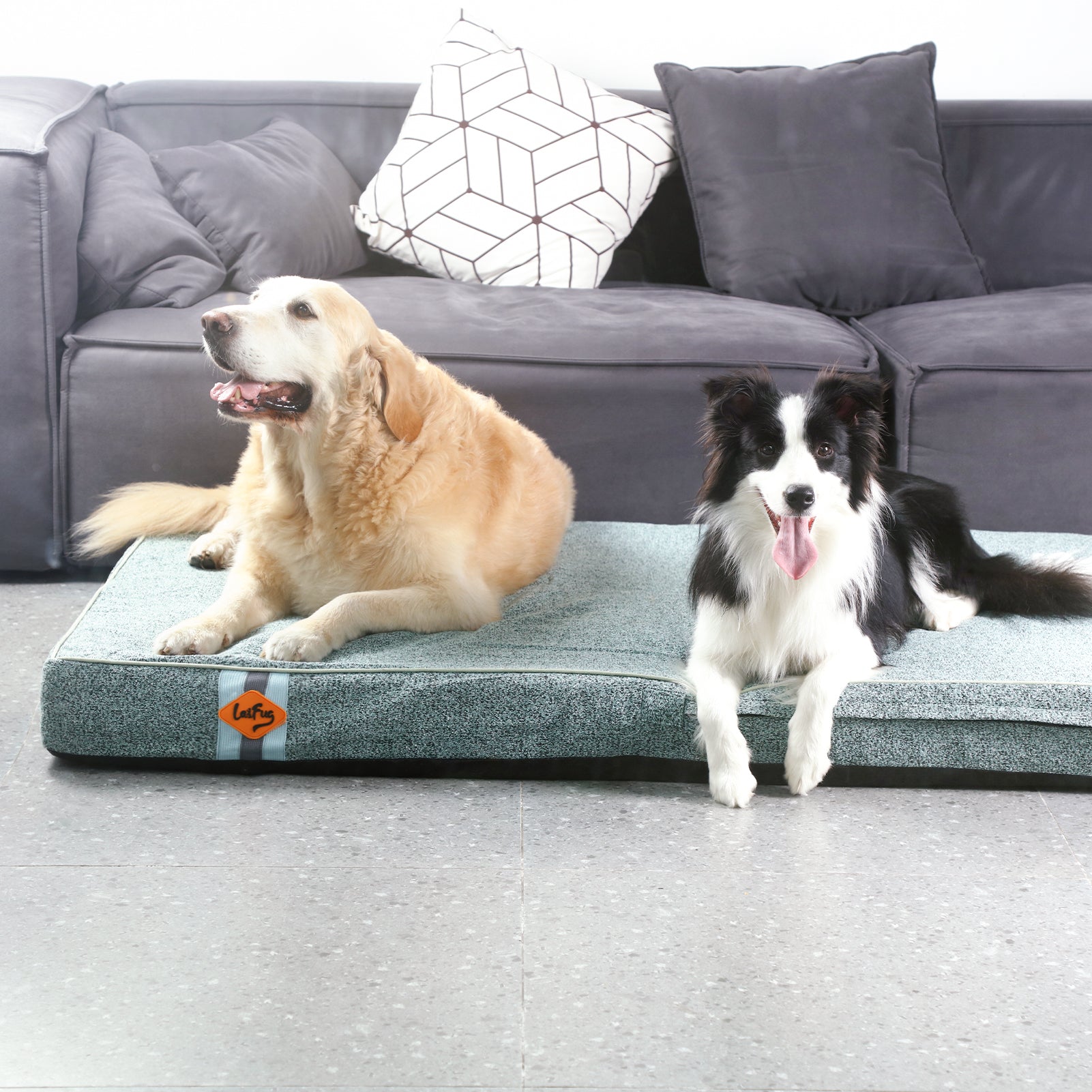 Lit pour chien en mousse à mémoire de forme Laifug, lit orthopédique pour cage pour chien de petite à grande taille