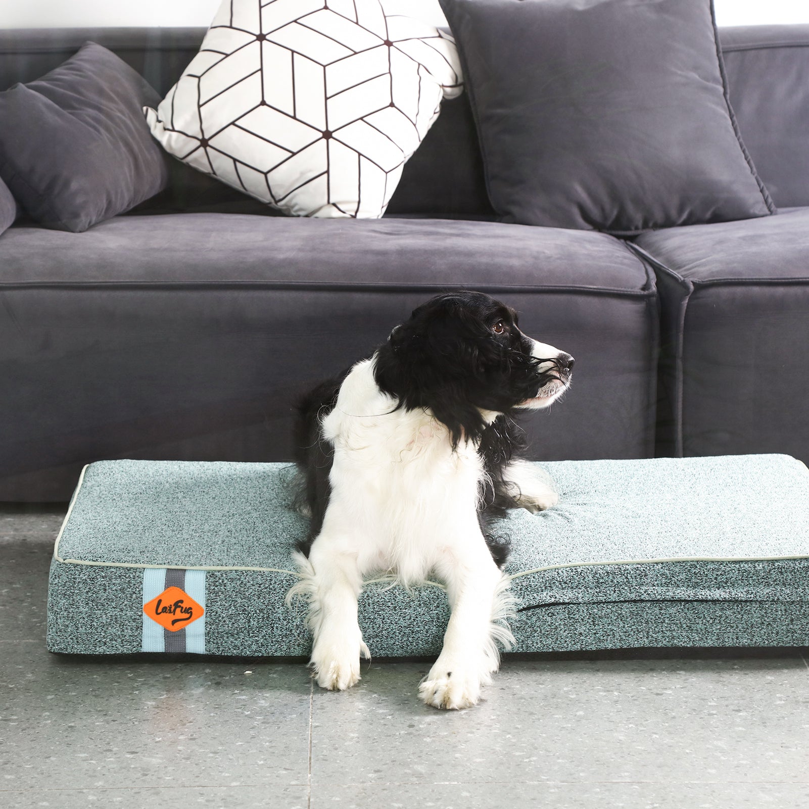 Lit pour chien en mousse à mémoire de forme Laifug, lit orthopédique pour cage pour chien de petite à grande taille