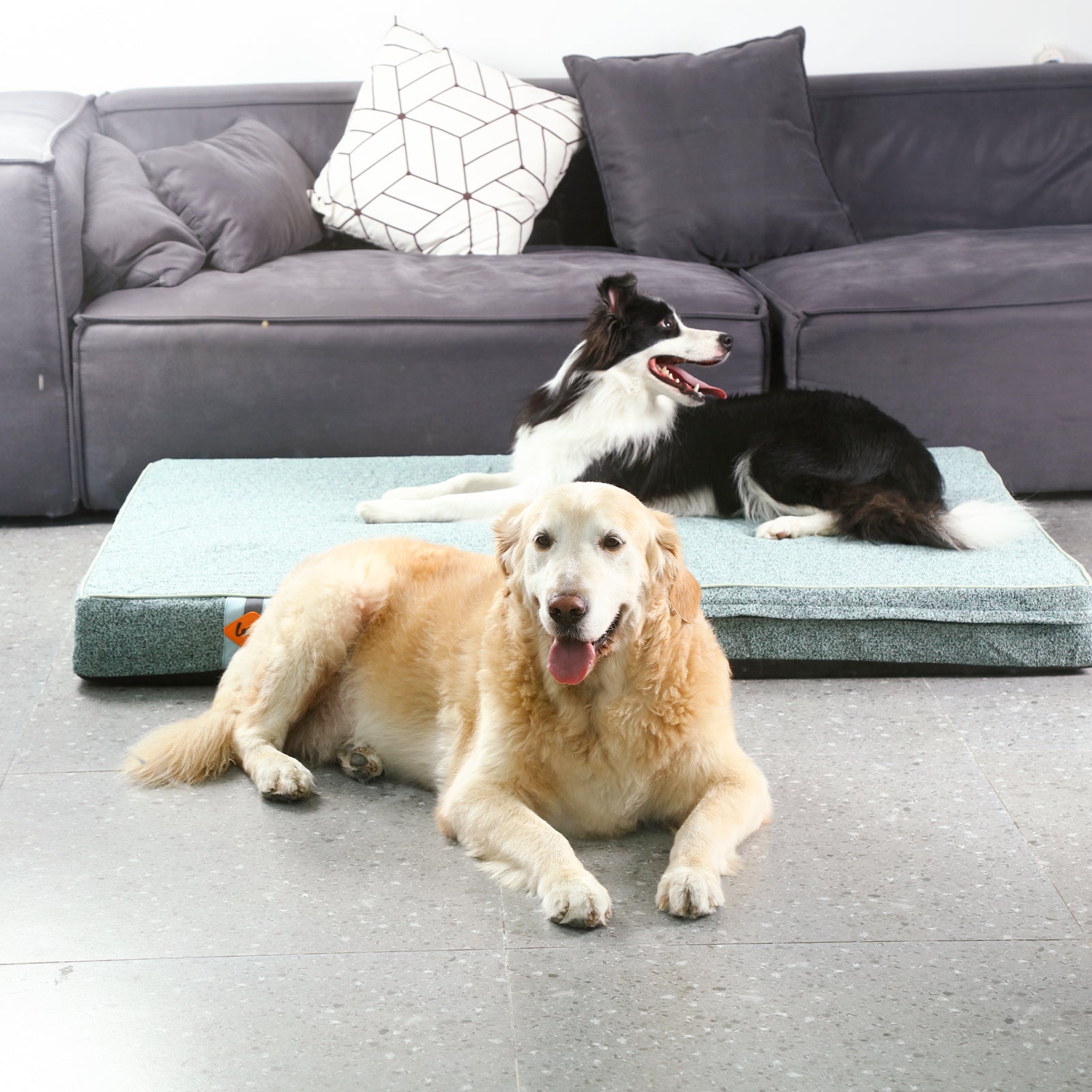Lit pour chien en mousse à mémoire de forme Laifug, lit orthopédique pour cage pour chien de petite à grande taille