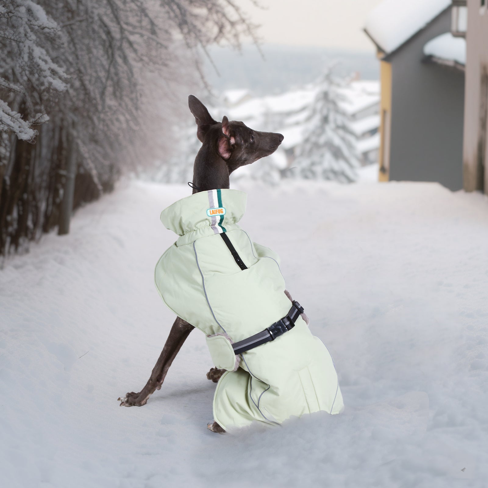 Manteau d'hiver pour chien à col montant vert Laifug