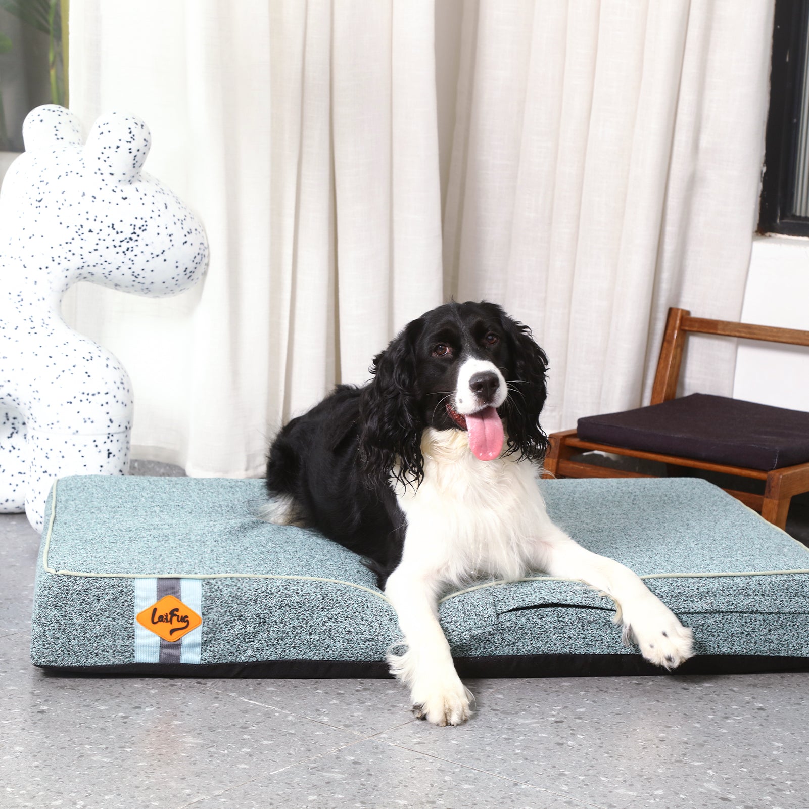 LaiFug 318 Flat Orthopedic Memory Foam Dog Bed – Minimalist Design