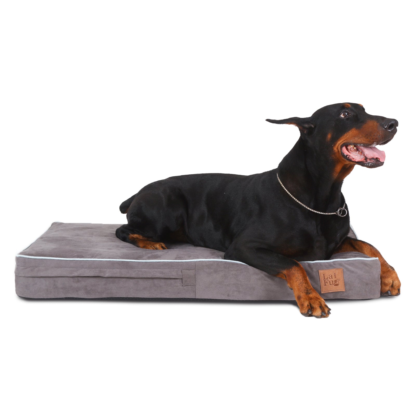 Lit pour chien en mousse à mémoire de forme Laifug, lit orthopédique pour cage pour chien de petite à grande taille