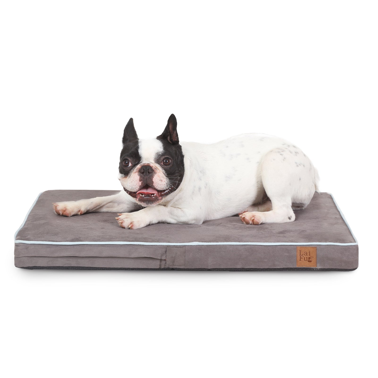 LaiFug 318 Flat Orthopedic Memory Foam Dog Bed – Minimalist Design