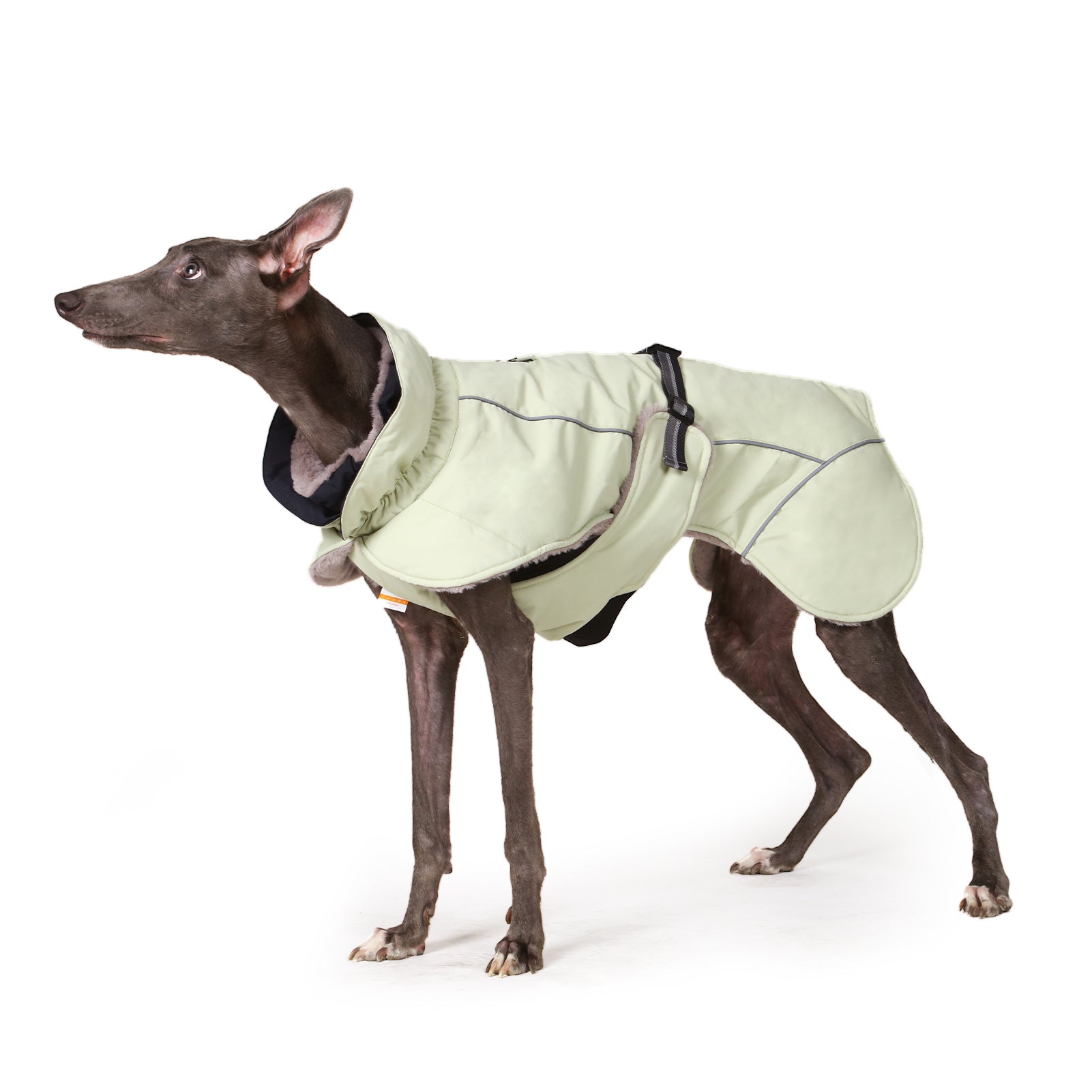 Manteau d'hiver pour chien à col montant vert Laifug