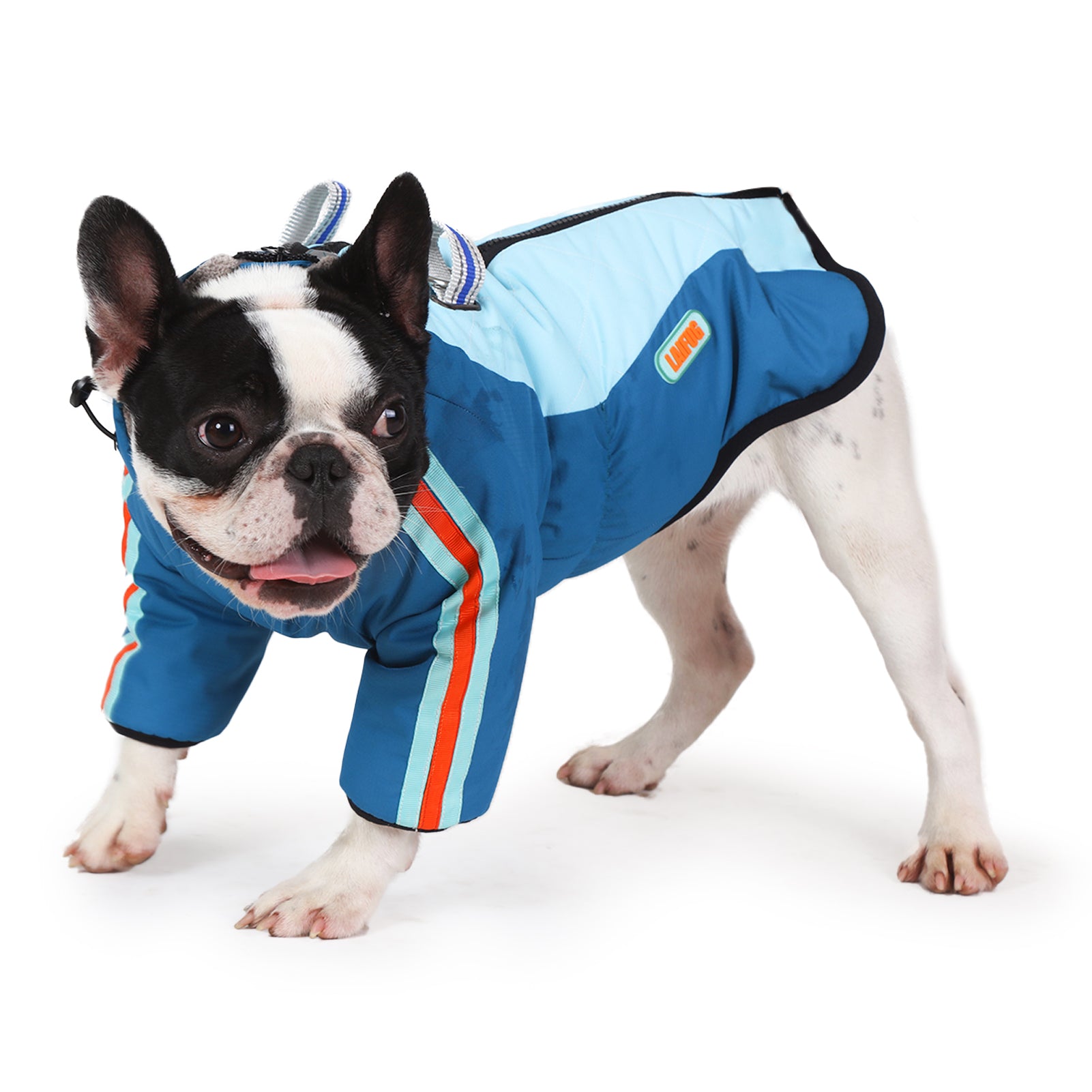 Manteau d'hiver pour chien à deux pattes Laifug gris rouge et gris bleu avec col montant