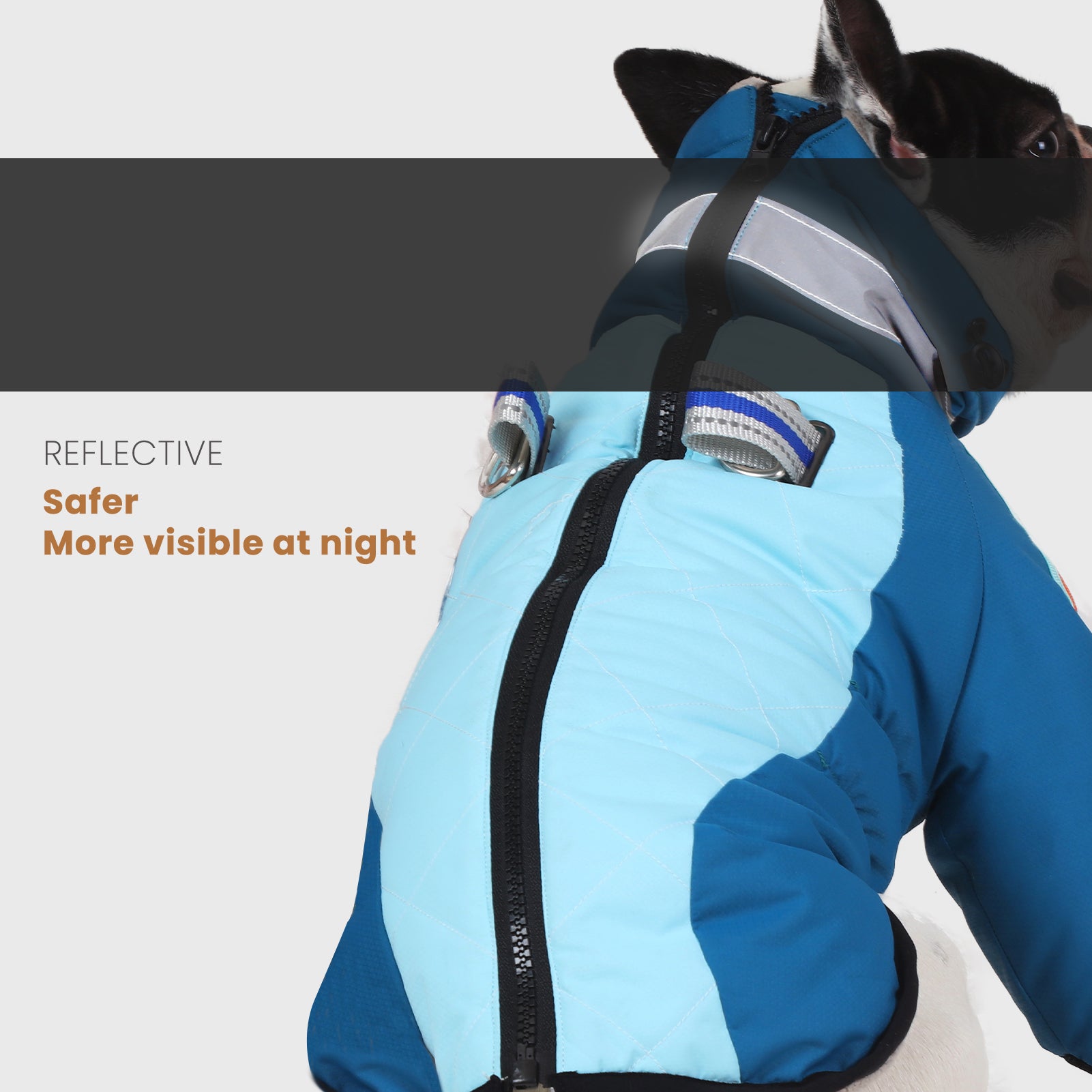 Manteau d'hiver pour chien à deux pattes Laifug gris rouge et gris bleu avec col montant