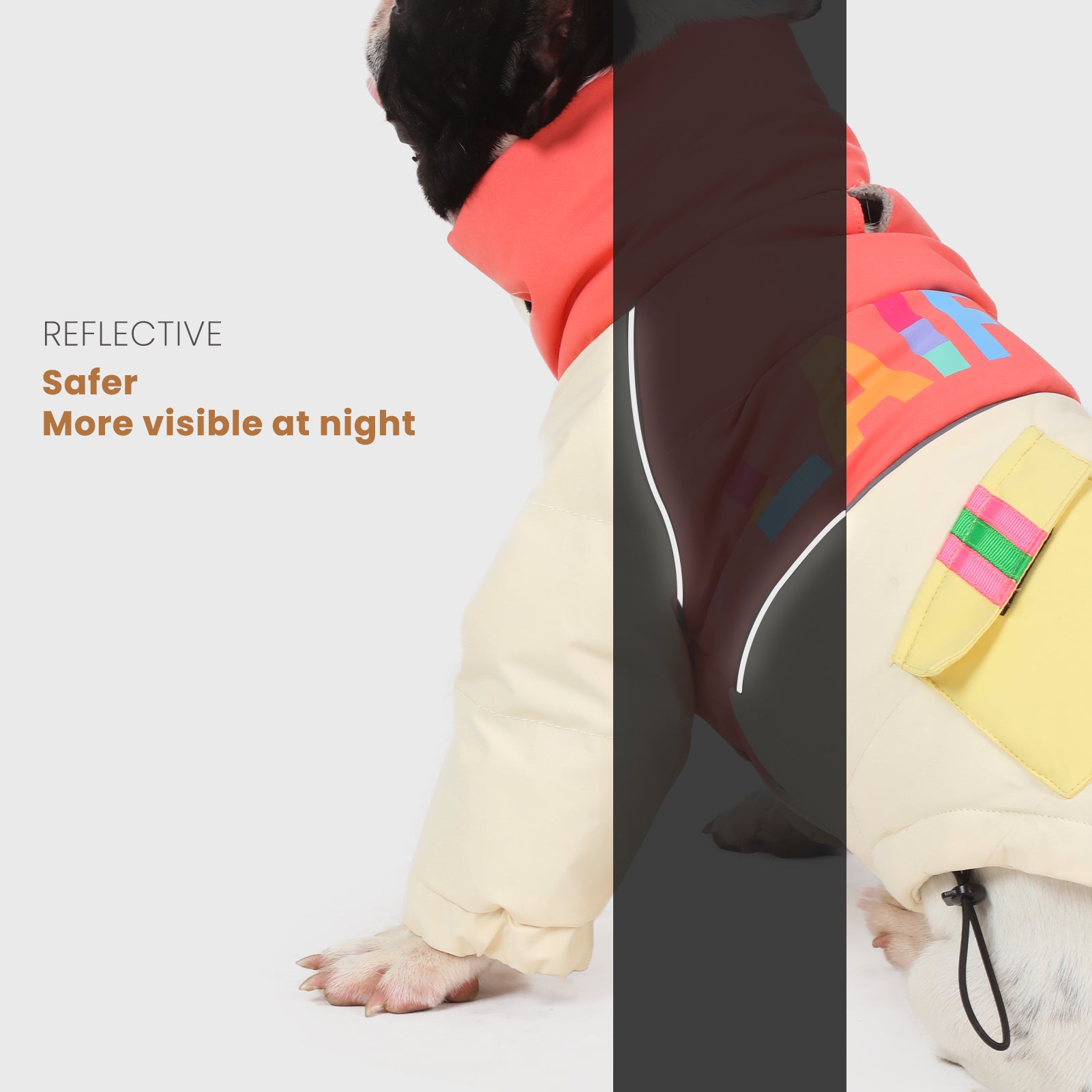 LaiFug Stand Collar Two Legs Dog Winter Coat