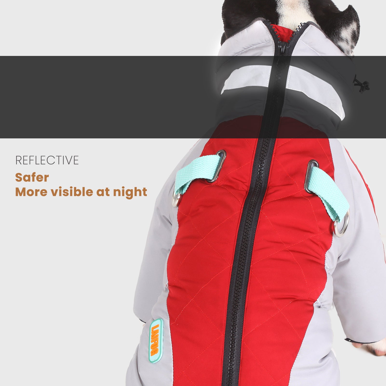 Manteau d'hiver pour chien à deux pattes Laifug gris rouge et gris bleu avec col montant