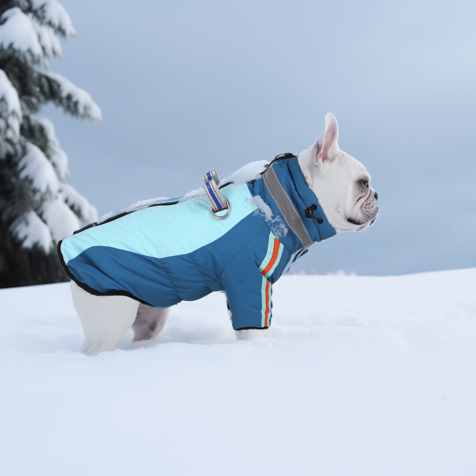 Manteau d'hiver pour chien à deux pattes Laifug gris rouge et gris bleu avec col montant
