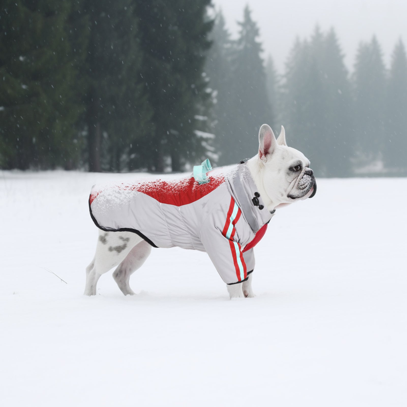 Manteau d'hiver pour chien à deux pattes Laifug gris rouge et gris bleu avec col montant