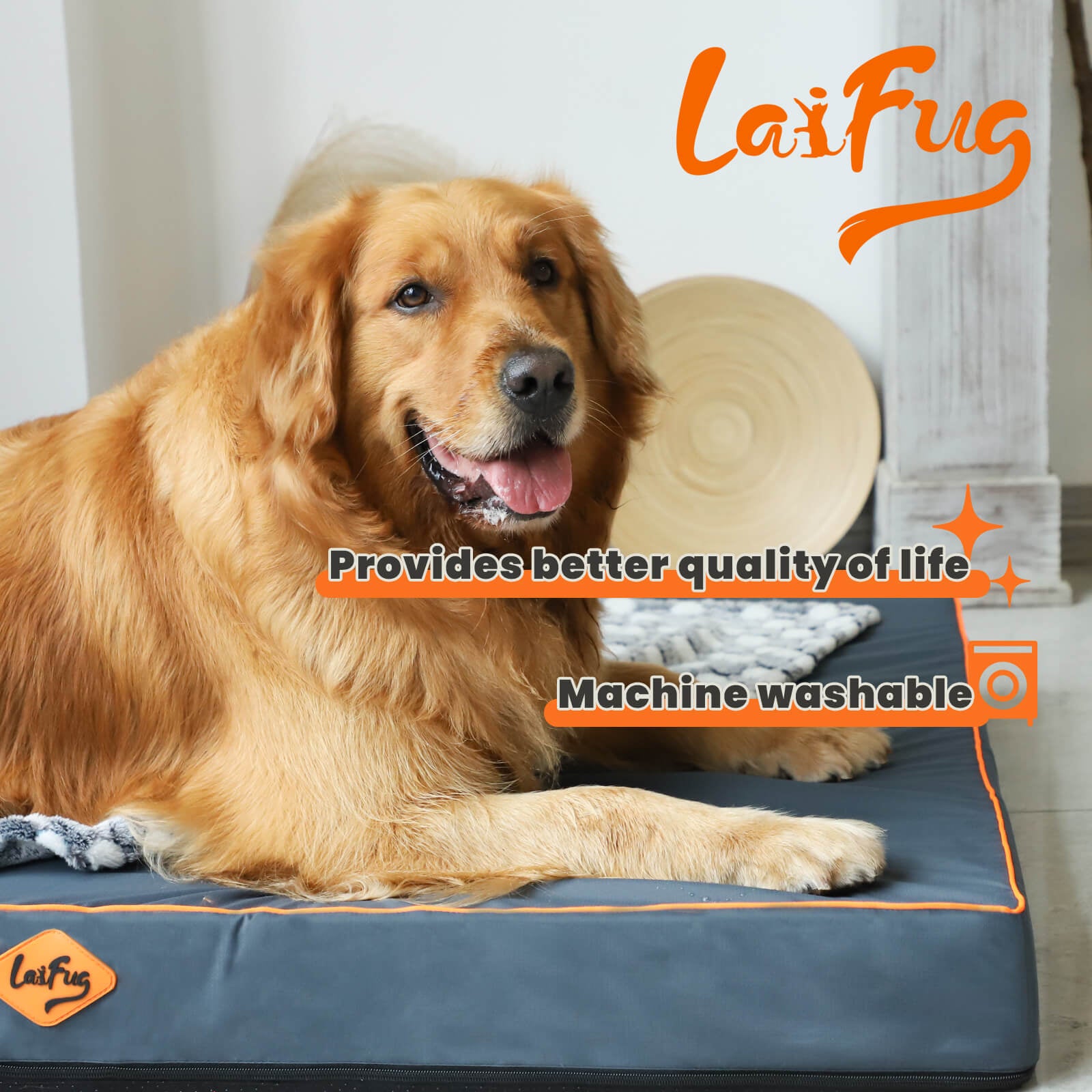 Lit pour chien en mousse alvéolée Laifug