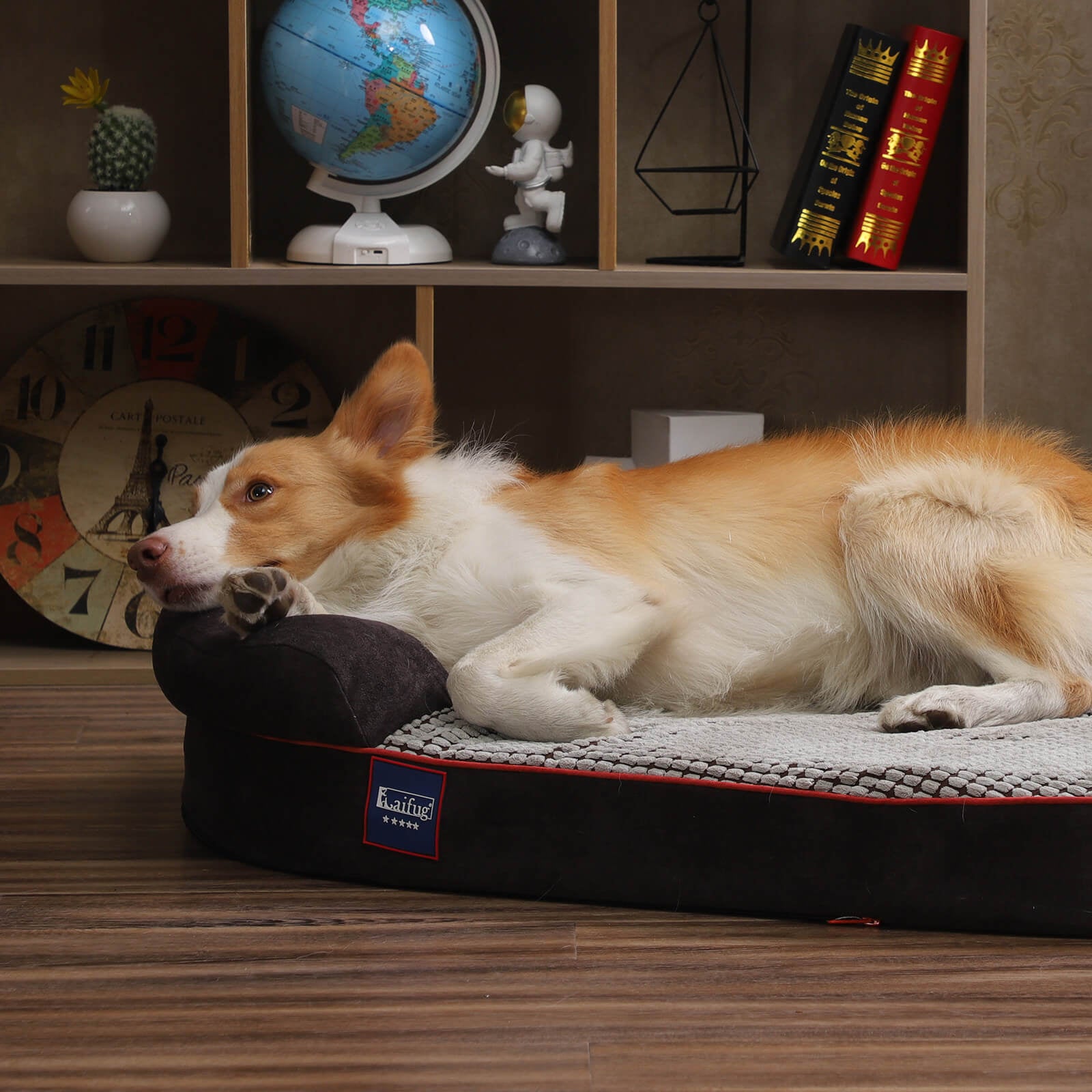 Housse de lit ovale pour chien Laifug