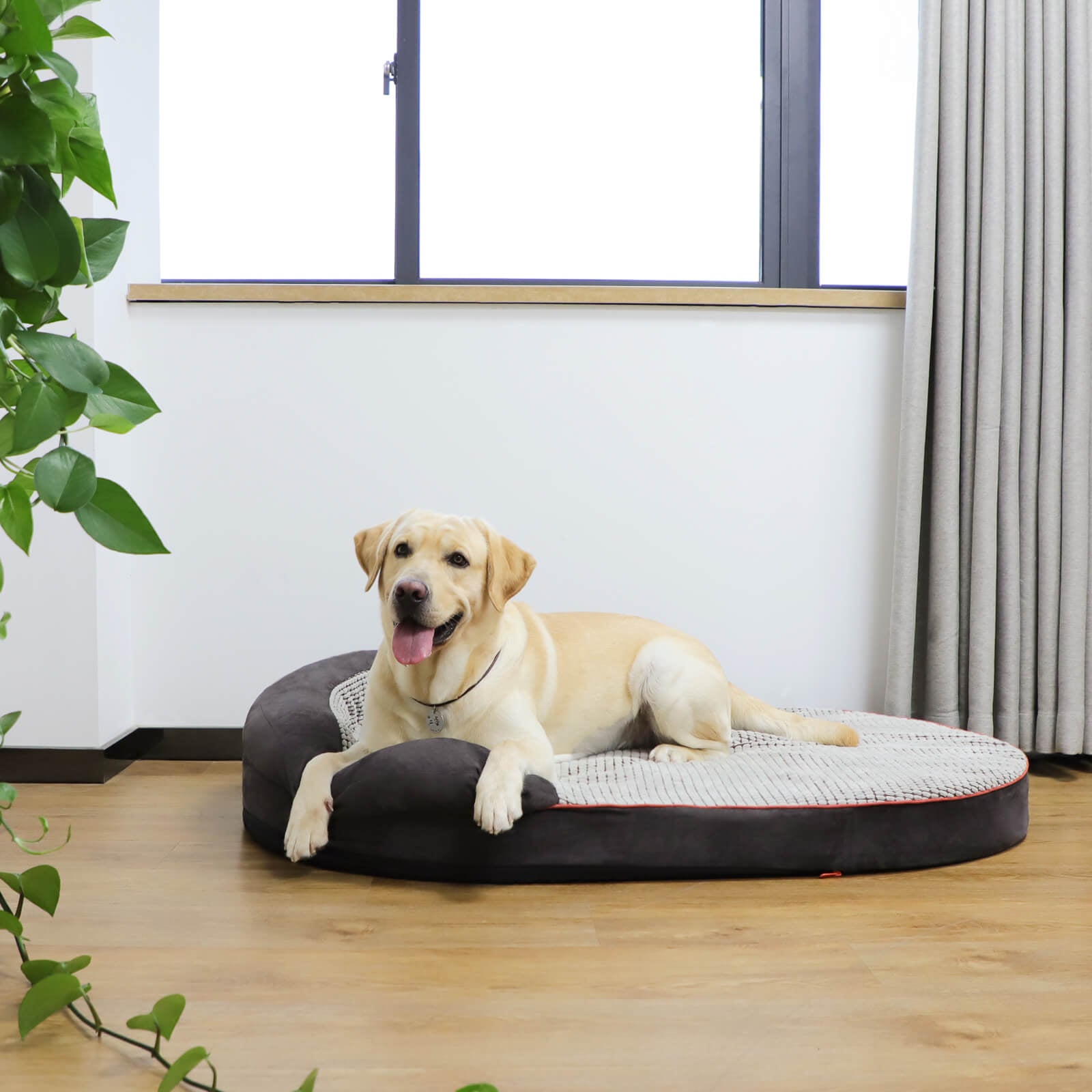 Housse de lit ovale pour chien Laifug