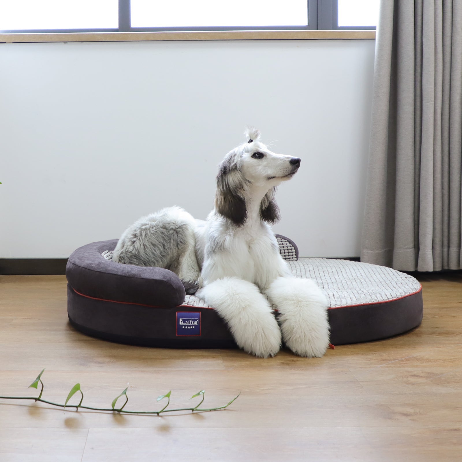 Housse de lit ovale pour chien Laifug