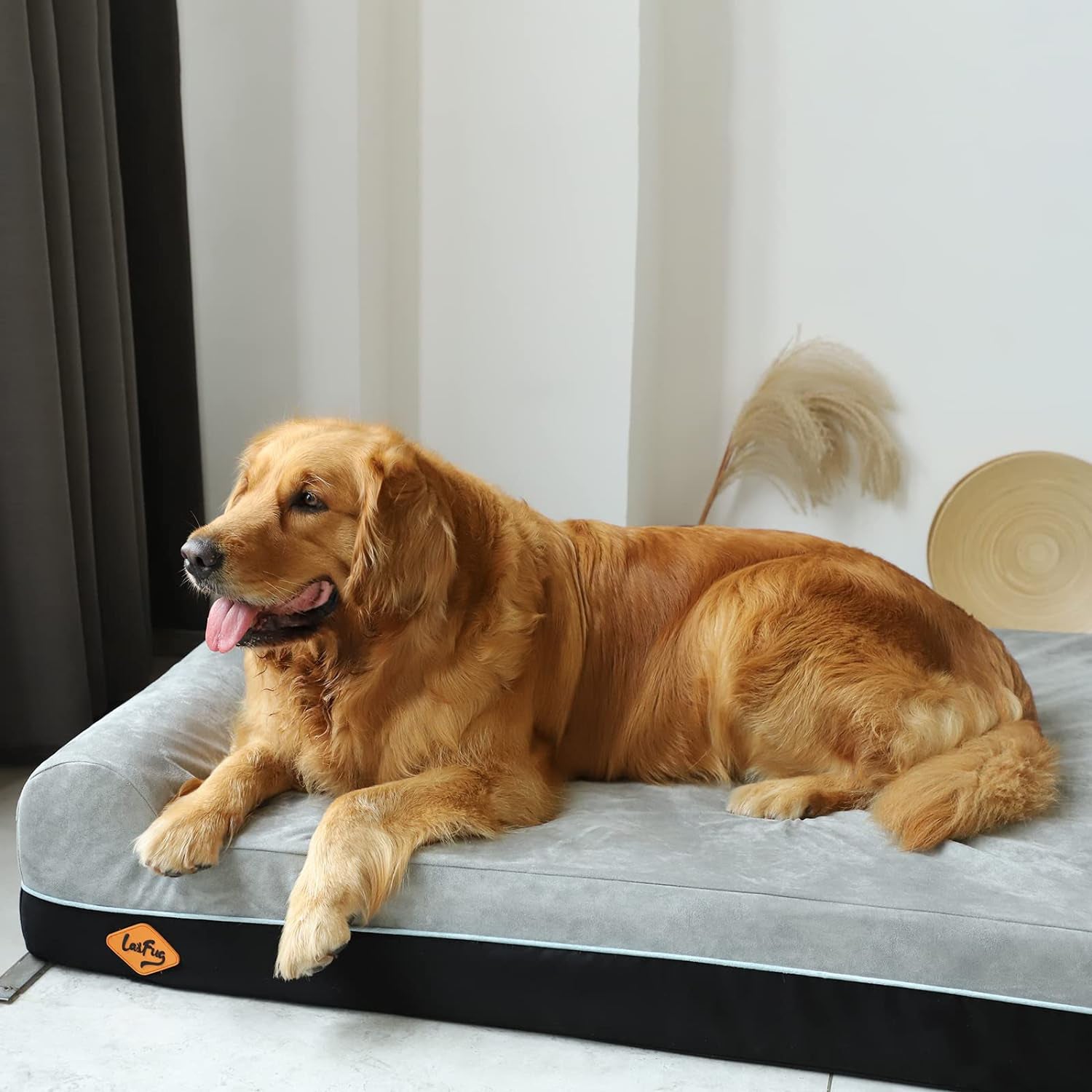 Lit pour chien en mousse viscoélastique lavable Jumbo Laifug