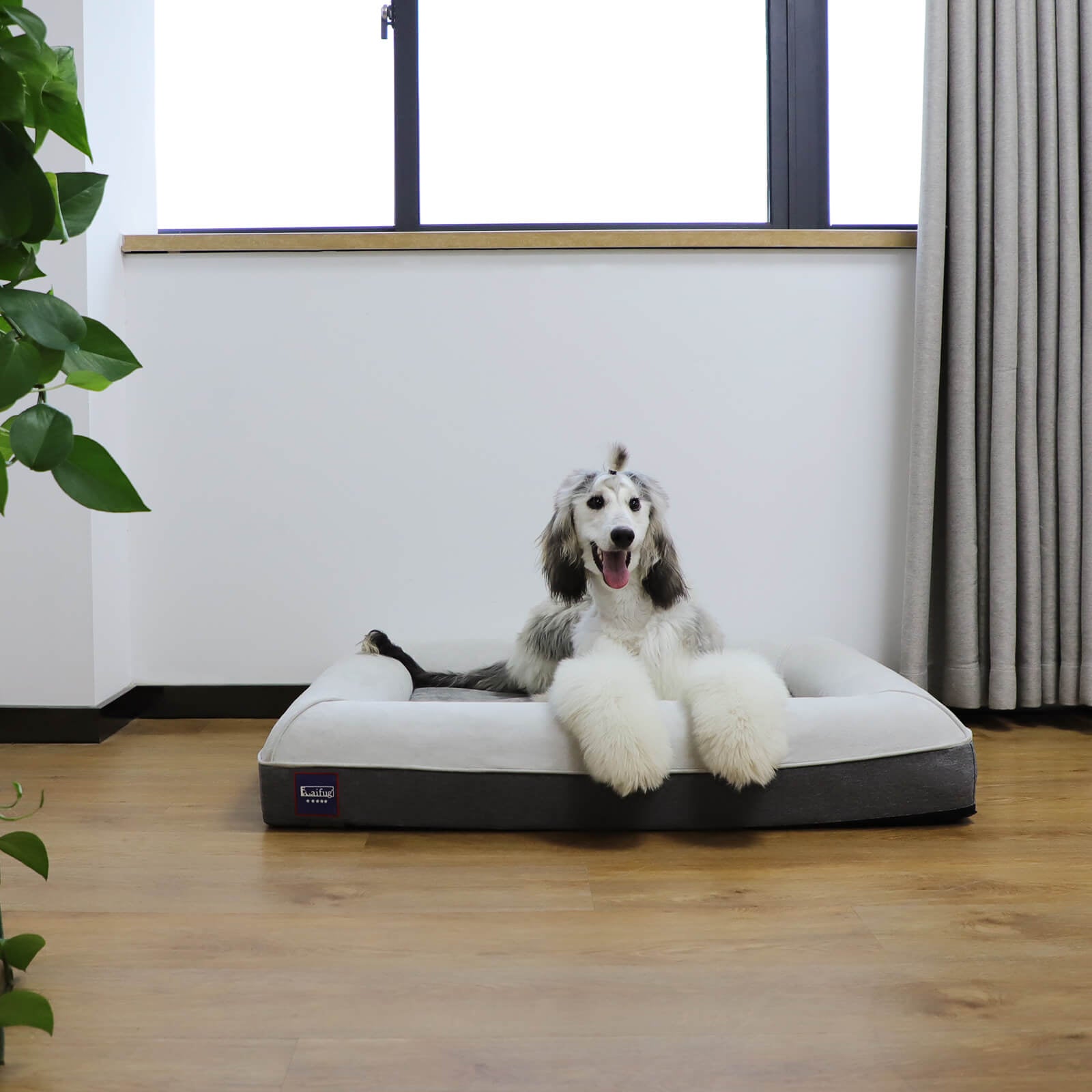 Matelas pour chien en mousse à mémoire de forme Laifug