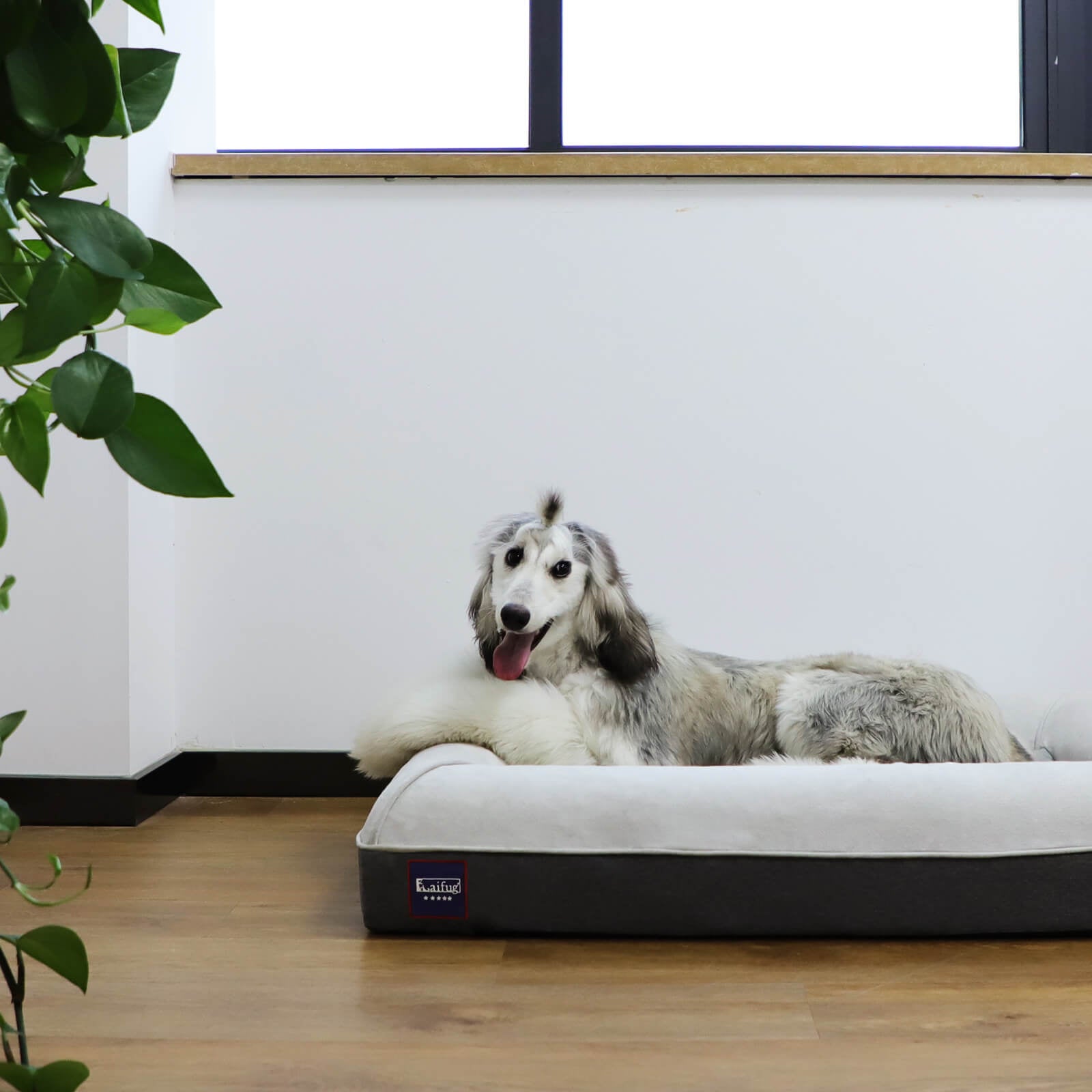 Matelas pour chien en mousse à mémoire de forme Laifug