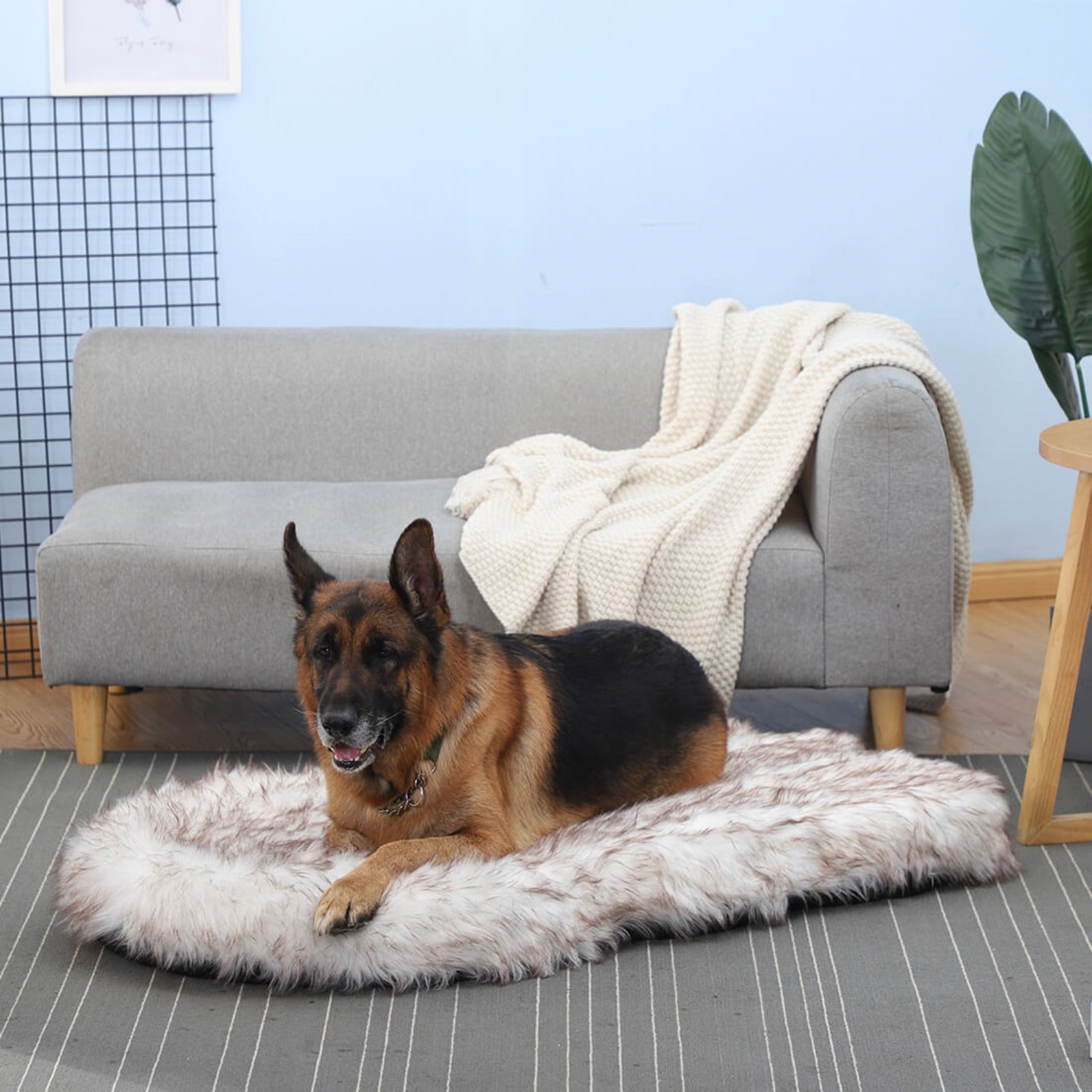 Lit pour chien en mousse viscoélastique en fausse fourrure Laifug