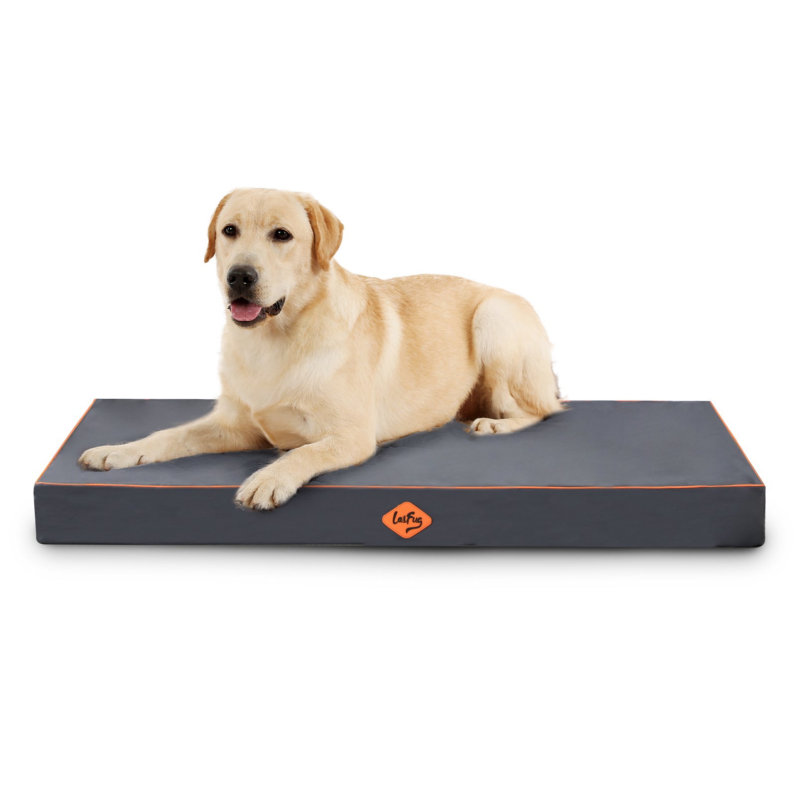 Lit pour chien en mousse alvéolée Laifug