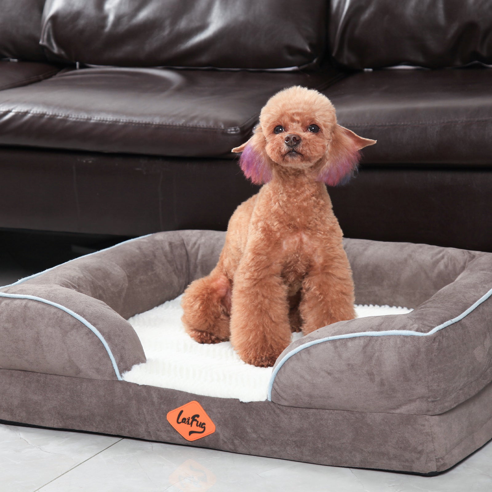 Canapé orthopédique pour chien en mousse à mémoire de forme de grande taille de Laifug