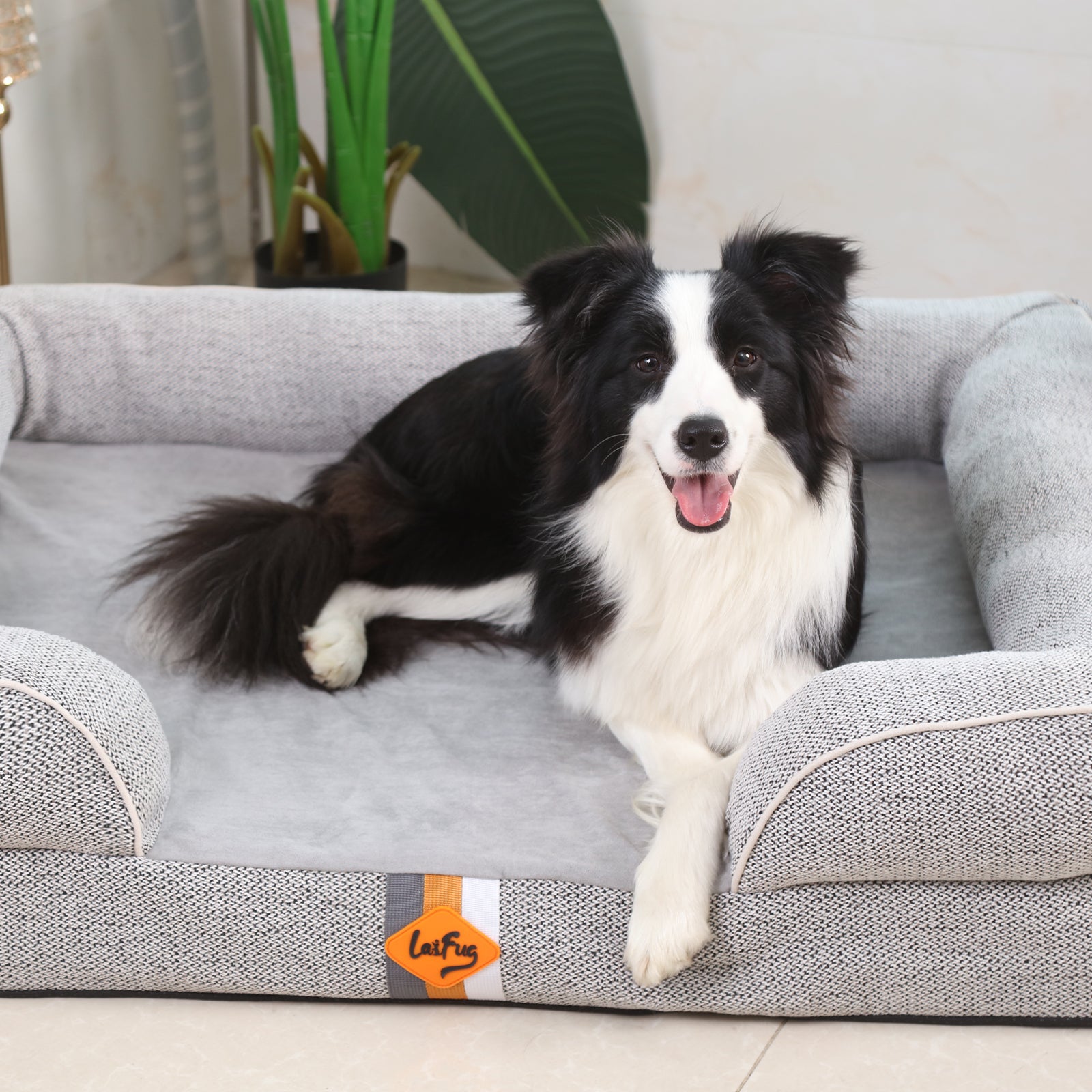 Canapé orthopédique pour chien en mousse à mémoire de forme de grande taille de Laifug