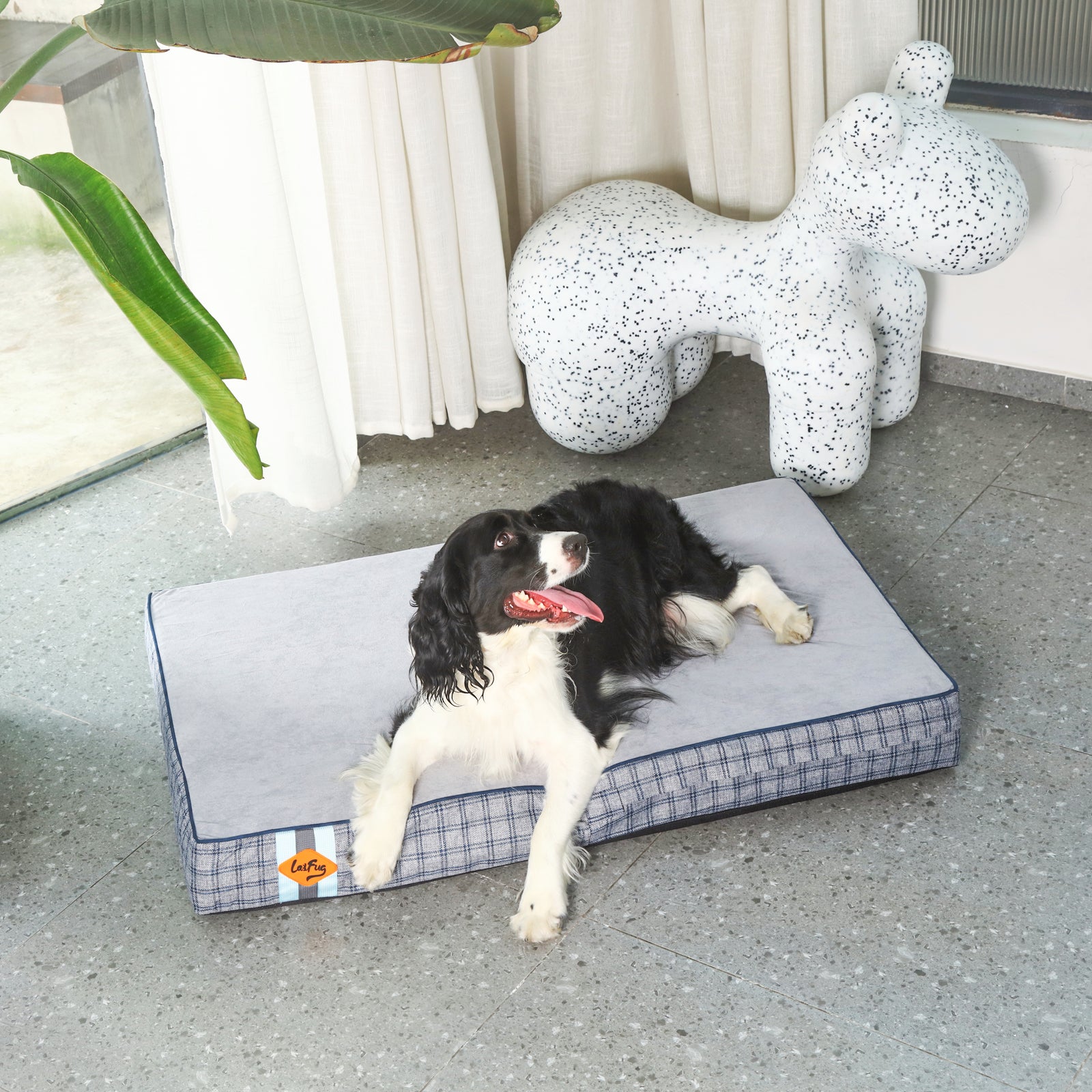 LaiFug 318 Flat Orthopedic Memory Foam Dog Bed – Minimalist Design