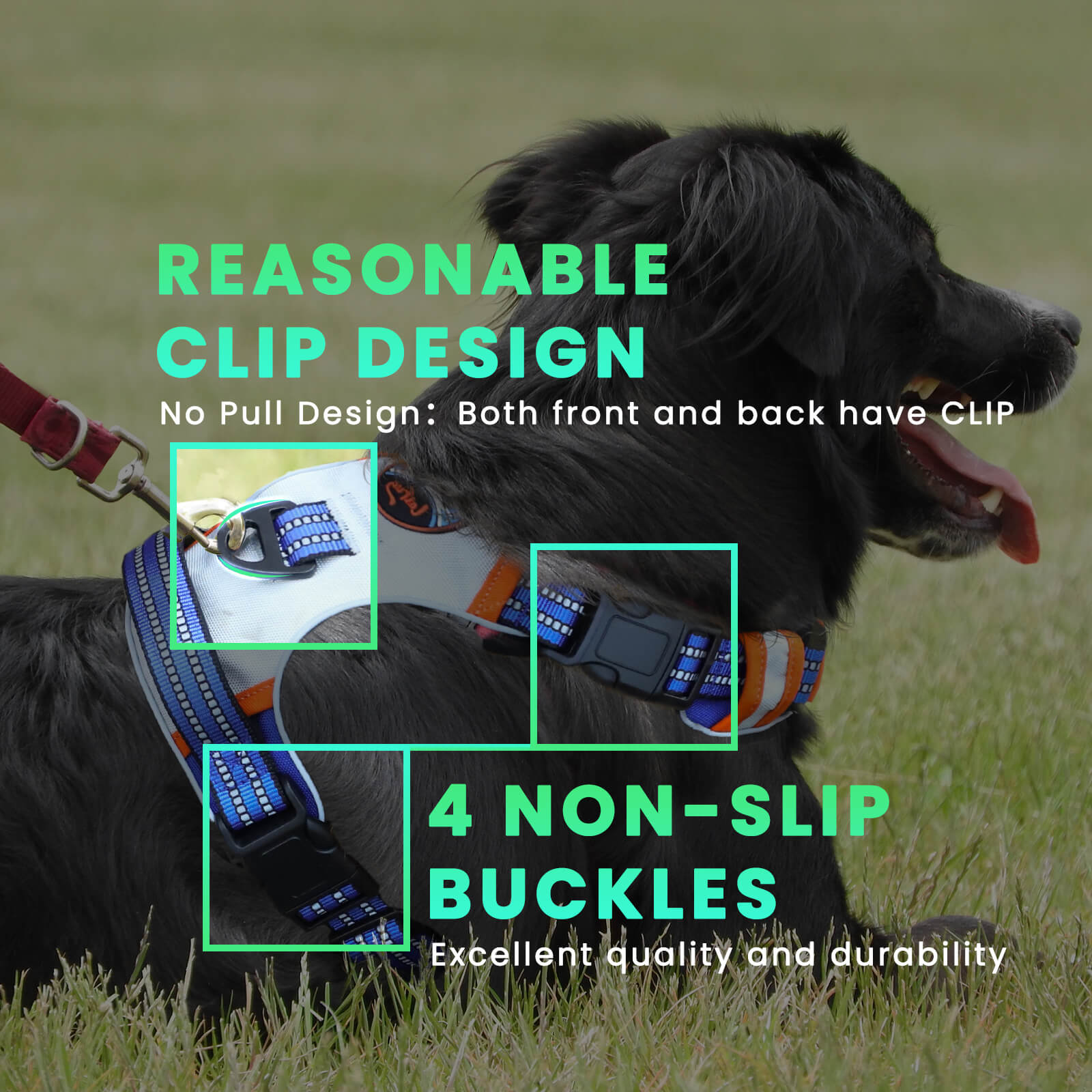 Harnais pour chien rembourré réglable Laifug