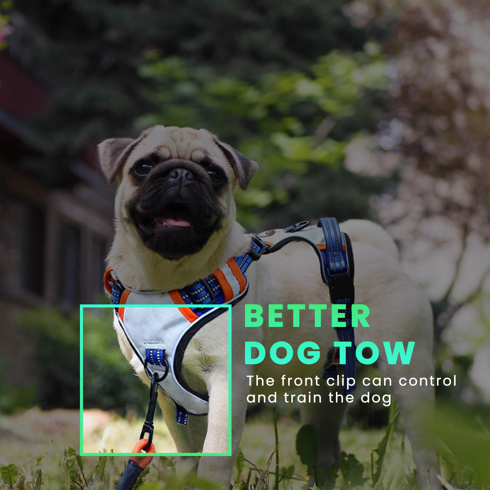 Harnais pour chien rembourré réglable Laifug