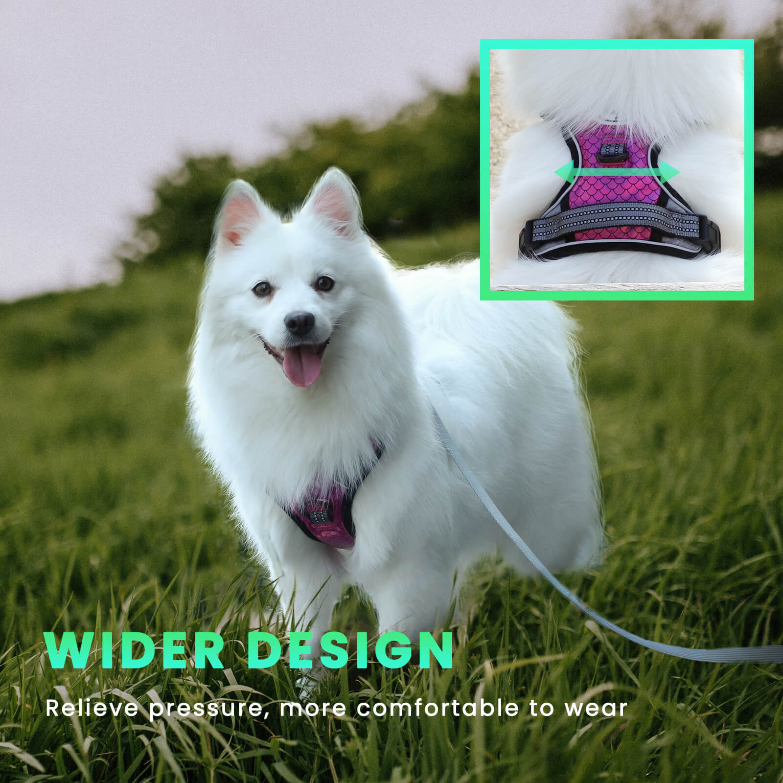 Harnais pour chien Laifug avec cordon rétractable