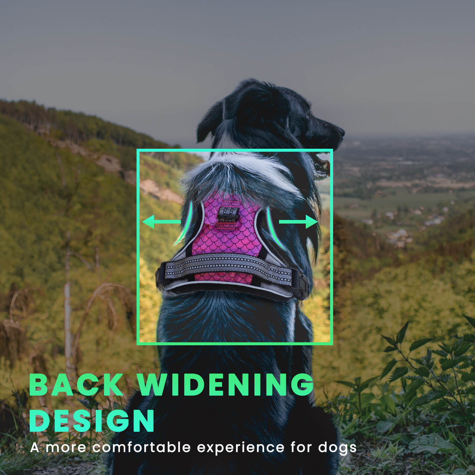 Harnais pour chien Laifug avec cordon rétractable