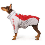 Manteau d'hiver pour chien à deux pattes Laifug gris rouge et gris bleu avec col montant 
