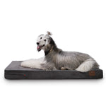 LaiFug 318 Flat Orthopedic Memory Foam Dog Bed – Minimalist Design