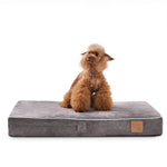 LaiFug 318 Flat Orthopedic Memory Foam Dog Bed – Minimalist Design