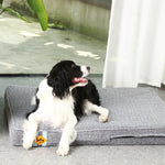 LaiFug 318 Flat Orthopedic Memory Foam Dog Bed – Minimalist Design