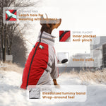 Manteau d'hiver pour chien à deux pattes Laifug gris rouge et gris bleu avec col montant 