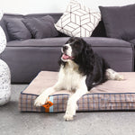 LaiFug 318 Flat Orthopedic Memory Foam Dog Bed – Minimalist Design