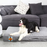 LaiFug 318 Flat Orthopedic Memory Foam Dog Bed – Minimalist Design