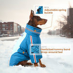 Manteau d'hiver pour chien à deux pattes Laifug gris rouge et gris bleu avec col montant 