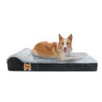 Laifug 422 Orthopedic Dog Bed with Bolster Support (Single & Double Pillow Options)