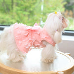 LaiFug Floral Lace Wedding Dress for Dogs – Elegant Princess Style